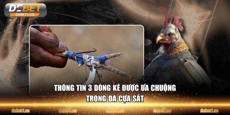 Thông tin 3 dòng kê được ưa chuộng trong đá cựa sắt